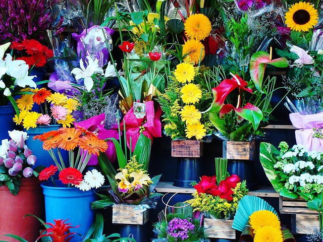 Blomsterbutikker: finder skønheden i hverdagens romantik