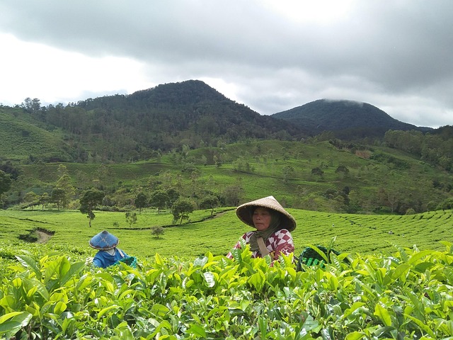 Sådan skaber du den perfekte online quiz