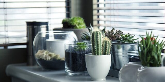 5 budgetvenlige DIY-projekter til at forvandle dit hjem