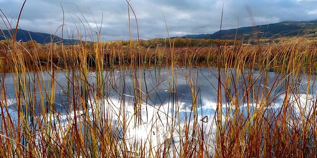 Sæt alarmen: Black friday 2025 landets største udsalgsdag