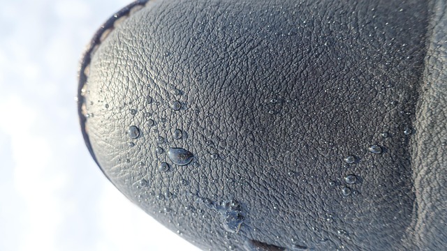 Miljøvenlig imprægnering: Sådan beskytter du din pfc-fri dunjakke