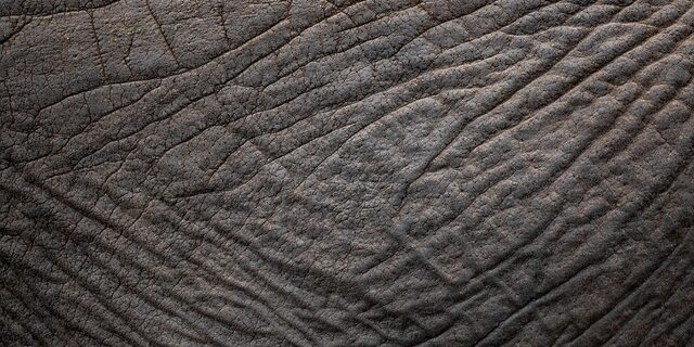 Omega 3 og hudens sundhed: Bliv smuk indefra