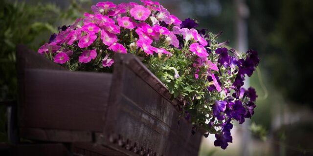 Sådan får du altan i din københavnerlejlighed: Trin-for-trin guide